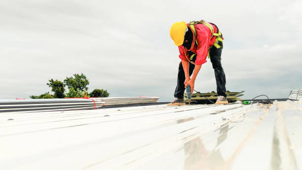 Best Roof Ventilation Installation  in Edinboro, PA