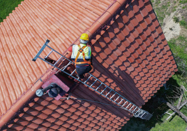 Best Asphalt Shingle Roofing  in Edinboro, PA
