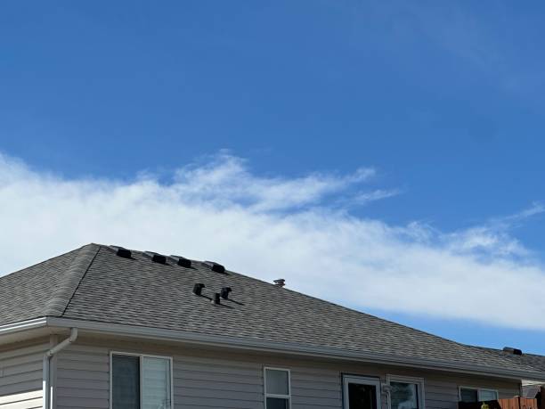 Best Storm Damage Roof Repair  in Edinboro, PA